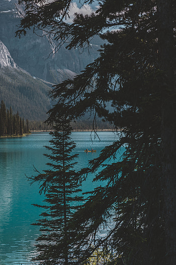 Nature, Trees, Mountains, Lake, Boat HD phone wallpaper