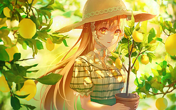 Lemon Girl, girl, lemons, anime, hat HD wallpaper