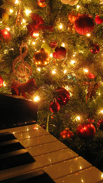 Christmas, Christmas Decorating Tree, christmas decoration tree HD phone wallpaper
