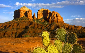 Arizona, , Desert, Cactus, Sedona HD wallpaper