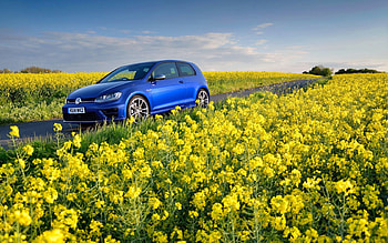 Flowers, Volkswagen, Cars, Field, Golf R, Mk7 HD wallpaper