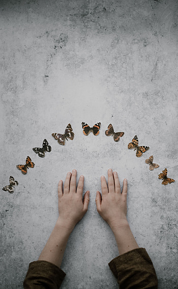 Butterflies, Background, Minimalism, Hands HD phone wallpaper