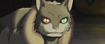 Ultra : The Imaginary Cat by Studio Ponoc, Anime, The Imaginary (2023), Studio Ponoc, cat, anime cat HD wallpaper