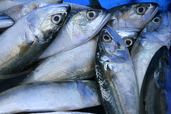 sardines Fish for sale, vendor, fish, sale, sardine HD wallpaper