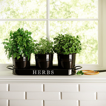 Gracie Oaks herb planter, Kitchen greenery, Indoor gardening, Stylish design HD phone wallpaper