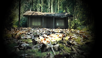 The Cabin in the Woods (2022) movie HD wallpaper