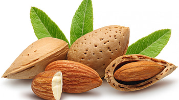 Nutty delights, Indulging taste buds, Scrumptious visuals, Nature's wholesome goodness HD wallpaper