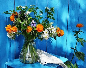 Vase with flowers in blue background, blue, natural, white, garden, vase, orange, summer, still life, background, green, nature, flowers HD wallpaper