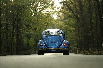 Happy Weekend, beautiful, forest, car, tree HD wallpaper
