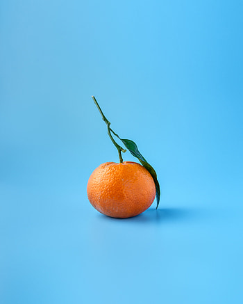 Minimalism, Fruit, Citrus, Mandarin, Tangerine HD phone wallpaper