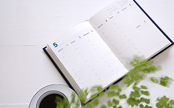 notes notebook cup coffee plant HD wallpaper