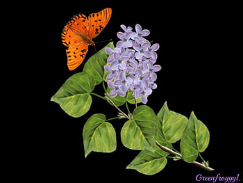 FOR CHERIE, BUTTERFLY, CREATION, ABSTRACT, LILAC HD wallpaper