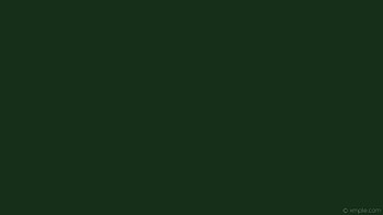 solid color one colour green single plain dark green HD wallpaper