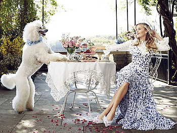 Reese Witherspoon, dog, Witherspoon, model, Reese, smile, , 2016, beautiful, actress, dress, legs HD wallpaper