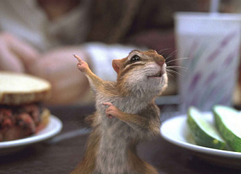 Pip, animal, table, cute, disney, green, movie, fruit, apple, enchanted, funny, squirrel HD wallpaper