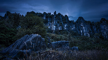 Piopio, New Zealand HD wallpaper