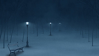 street lamps in snow, night, bench, lamps, poles, snow HD wallpaper