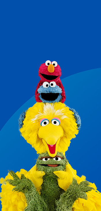 Sesame Street Animation, Popular collection, Vibrant backgrounds, Fan-favorite characters HD phone wallpaper