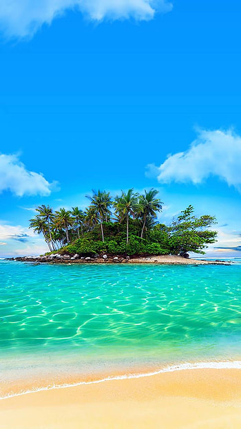 Tropical Island, palm tree, tropical, earth, nature, island HD phone wallpaper