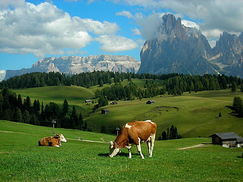 The Alps, Farms HD wallpaper
