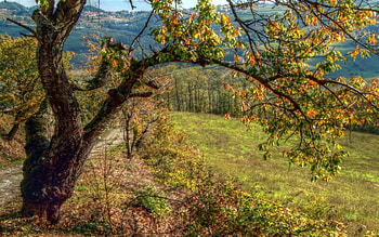 Autumns arc, autumns, arc HD wallpaper