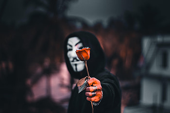Mask, Anonymous, Flower, Miscellanea, Miscellaneous, Rose Flower, Rose, Hood HD wallpaper
