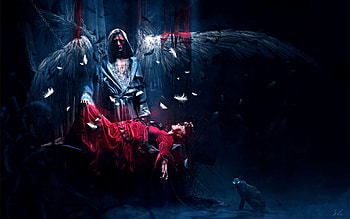 Angel, Victim, Wings, Night, Cat, Eyes, Feathers HD wallpaper