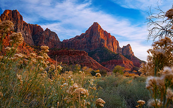 The Watchman - Zion National Park, peaks, usa, utah, clouds, grass, sky HD wallpaper
