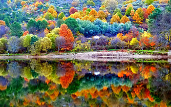 Autumn Scenery, autumn, scenery, nature HD wallpaper