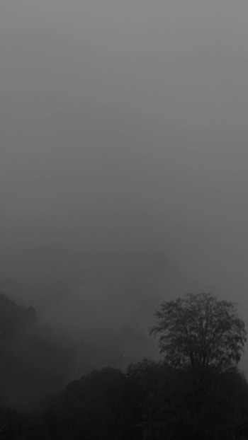 Doğa, Gökyüzü, duman, atmosfer, ağaç HD phone wallpaper