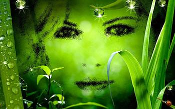 Green Elf, abstract, plants, fantasy, green, nature, elf HD wallpaper