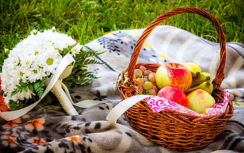 Picnic, grapes, colors, peaceful, daisies, beauty, basket, apples, bouqurt, romance, beautiful, fruits, grass, daisy, green, apple, nature, romantic, flowers, lovely, splendor HD wallpaper