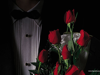 From Him To Her, bouquet, roses, suit, floral, tie, symbol, formal, love, tuxedo, flowers, romantic, tradition, setiments, bow HD wallpaper