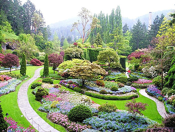 garden, trees, nature, flowers, spring HD wallpaper