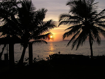 Beach Sunset, sea, palm, clouds, trees, nature, sunset, beach HD wallpaper