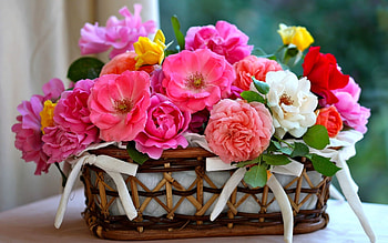 Plants, Flowers, Bouquets HD wallpaper