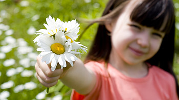 Plants, People, Flowers, Children, Camomile HD wallpaper