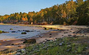 Beach at Autumn, rocks, beach, trees, Latvia, autumn, grass HD wallpaper