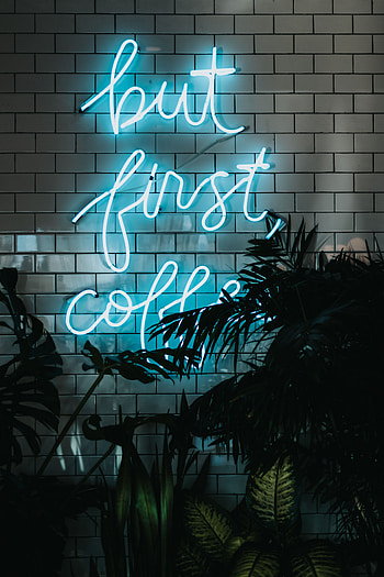 Plants, Leaves, Words, Wall, Neon, Backlight, Illumination, Inscription HD phone wallpaper
