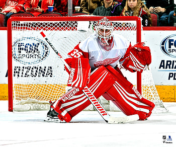 Gila River Arena, Jimmy Howard HD wallpaper