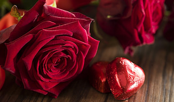 Red roses, Chocolate, Flowers, Roses, Gorgeous HD wallpaper