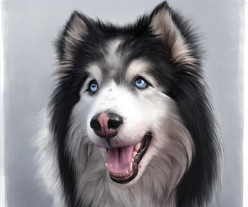 Misha, dog, art, husky, warren louw, face, fantast, caine HD wallpaper