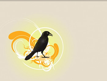 Bird, vector, birds HD wallpaper