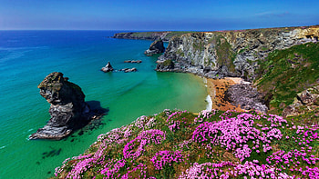 Cornwall, England, blossoms, coast, sea, rocks, cliff, spring HD wallpaper