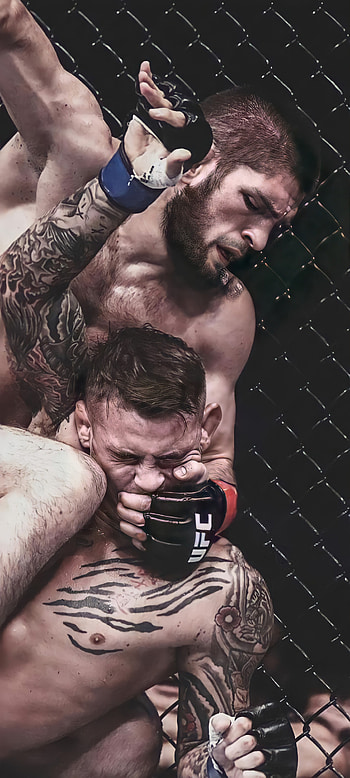 Khabib, ufc, fighter HD phone wallpaper