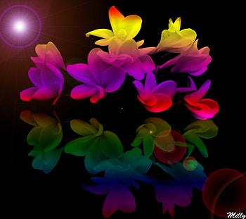 Rainbow Flowers for all my DN friends, friendships, flowers, rainbow, love HD wallpaper