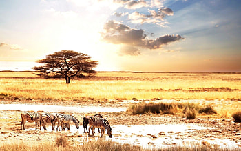 Africa, , Beautiful landscapes, African continent HD wallpaper