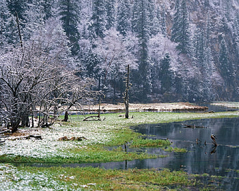 commencement du printemps, winter, trees, spring, forest, lake HD wallpaper