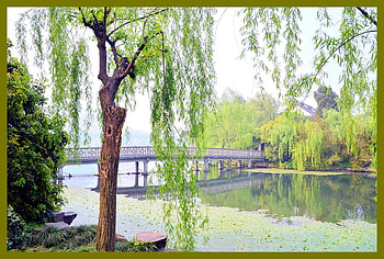 peace and silence, plants, green, trees, bridge, water, lake HD wallpaper