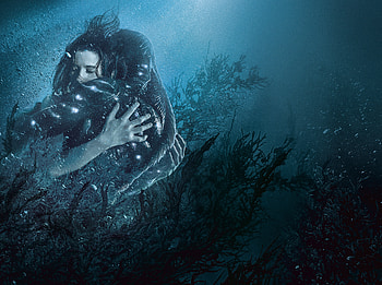 The Shape Of Water , the-shape-of-water, movies, 2017-movies HD wallpaper
